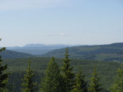Fjällnära vindkraft